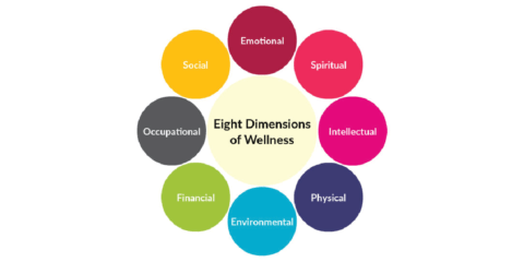 The 8 Dimensions of Wellness and Their Impact on Your Health